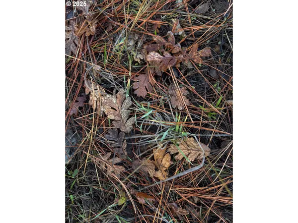 $85,000 | 0 South Valley Road, Dufur, OR 97021