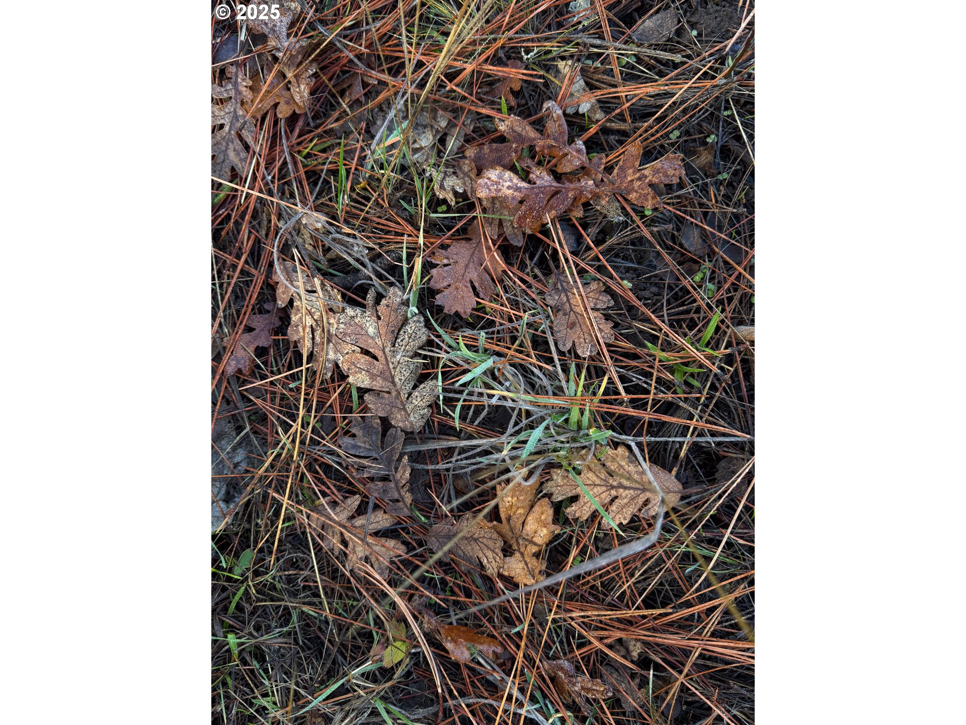 0 South Valley Road Dufur, OR 97021 - Photo 30 of 32 a picture of a door
