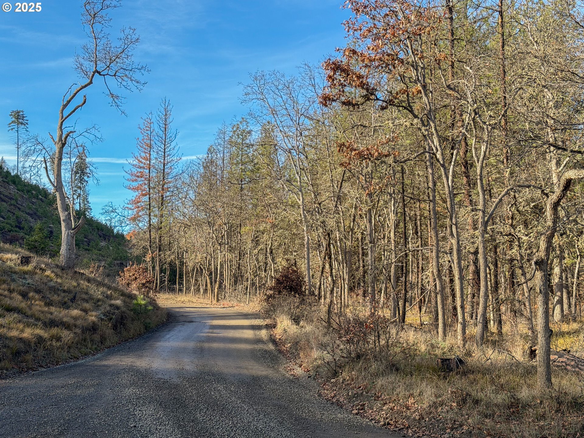 0 South Valley Road Dufur, OR 97021 - Photo 4 of 32 a view of street along with trees