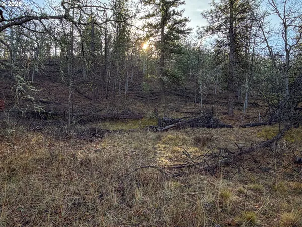 $85,000 | 0 South Valley Road, Dufur, OR 97021