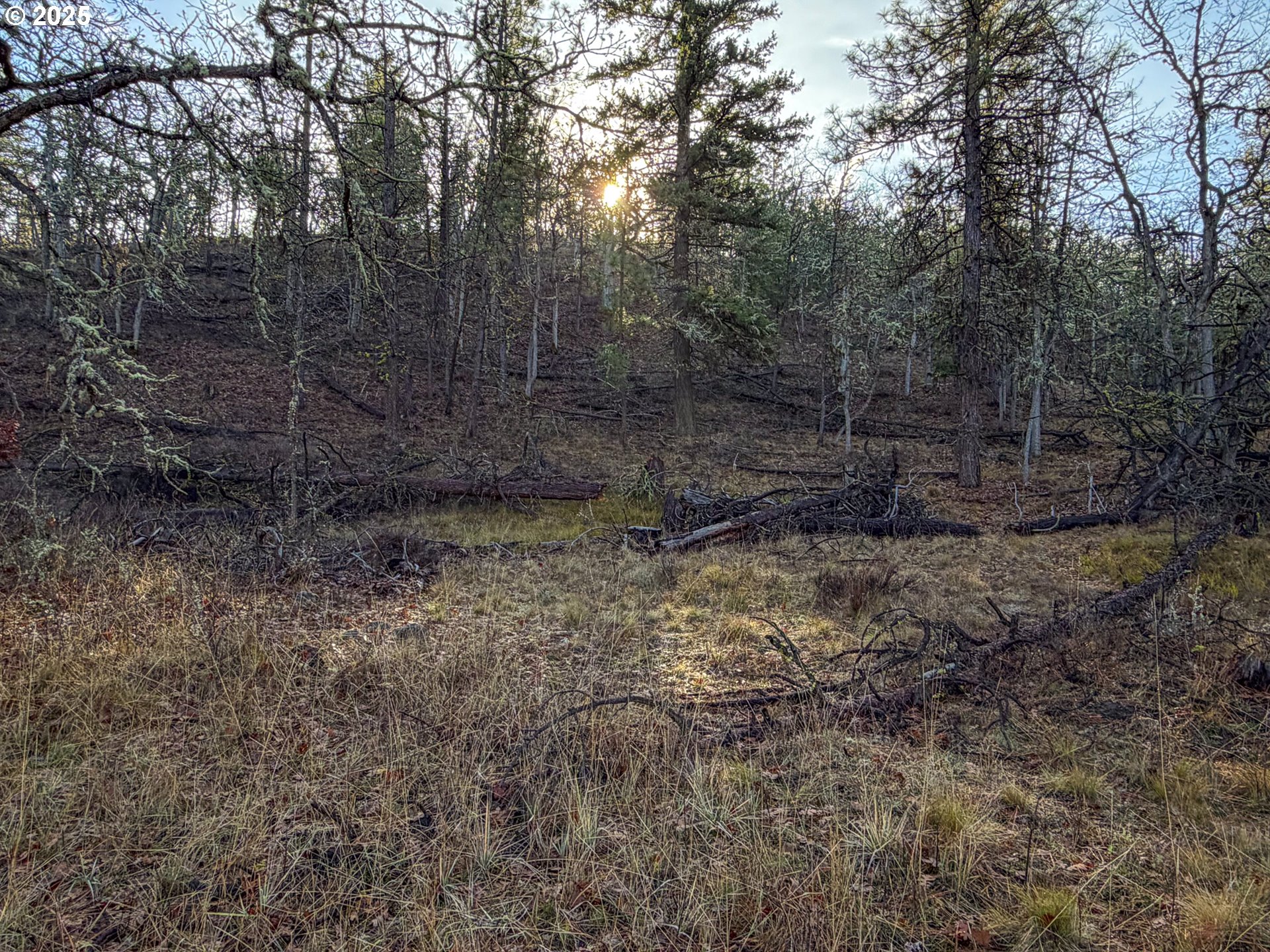 0 South Valley Road Dufur, OR 97021 - Photo 5 of 32 a view of a dry yard with trees in the background