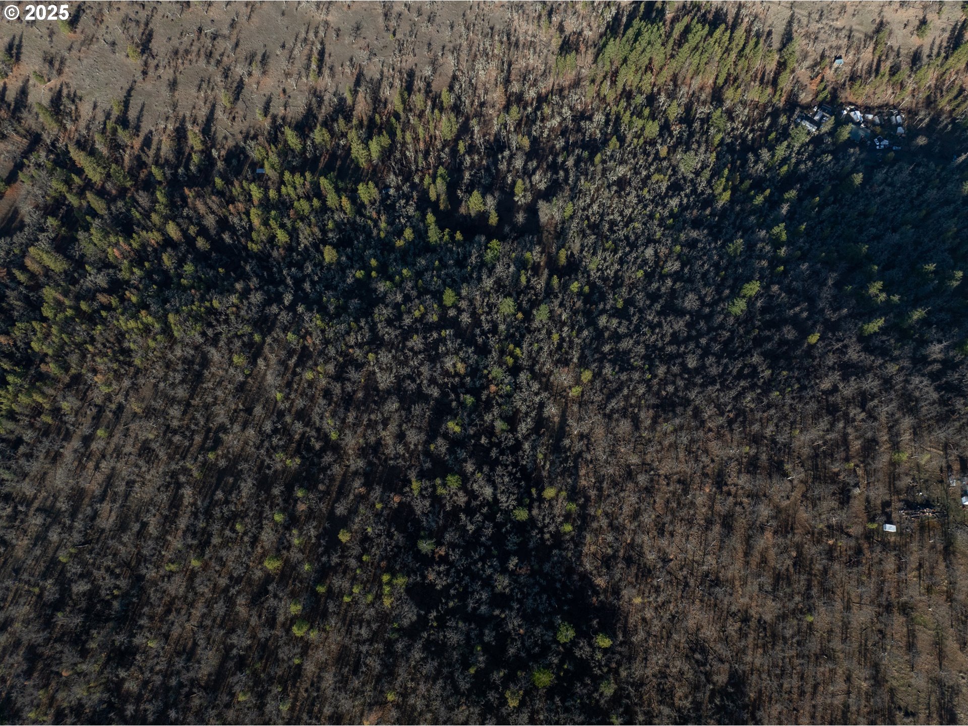 0 South Valley Road Dufur, OR 97021 - Photo 9 of 32