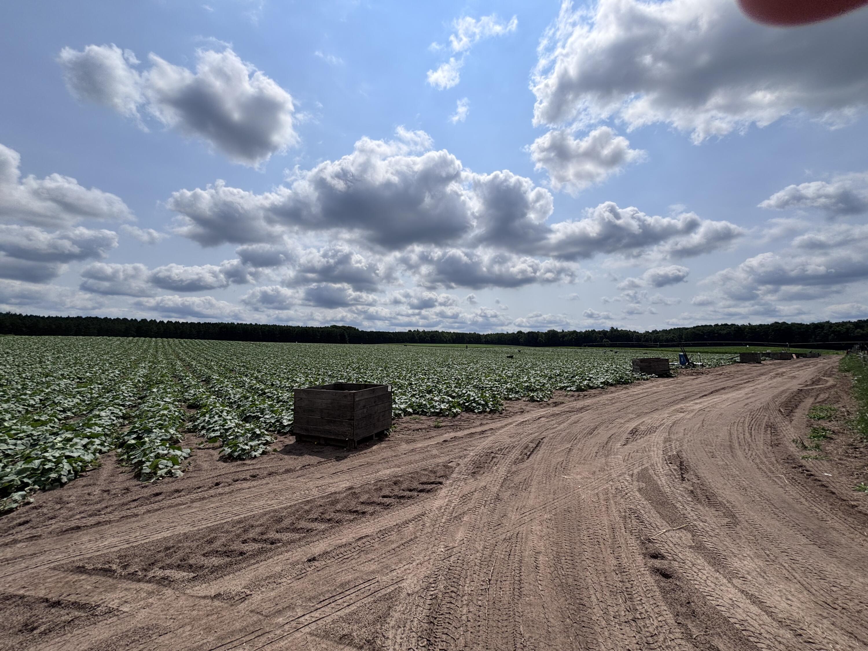 Johnson Road Kaleva, MI 49645 - Photo 13 of 20 IMG_5376