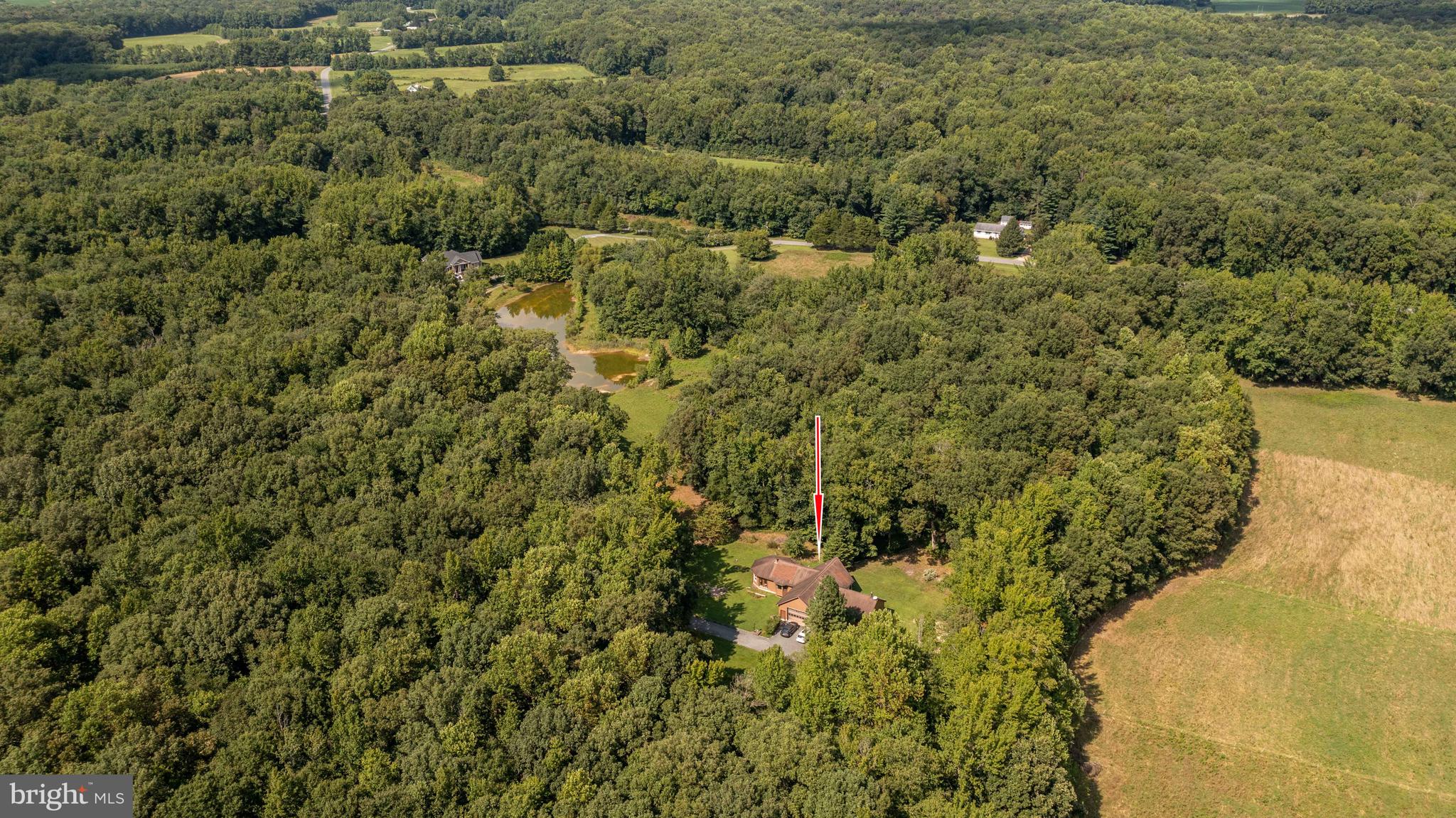 2718 Peters Corner Road Marydel, MD 21649 - Photo 3 of 40