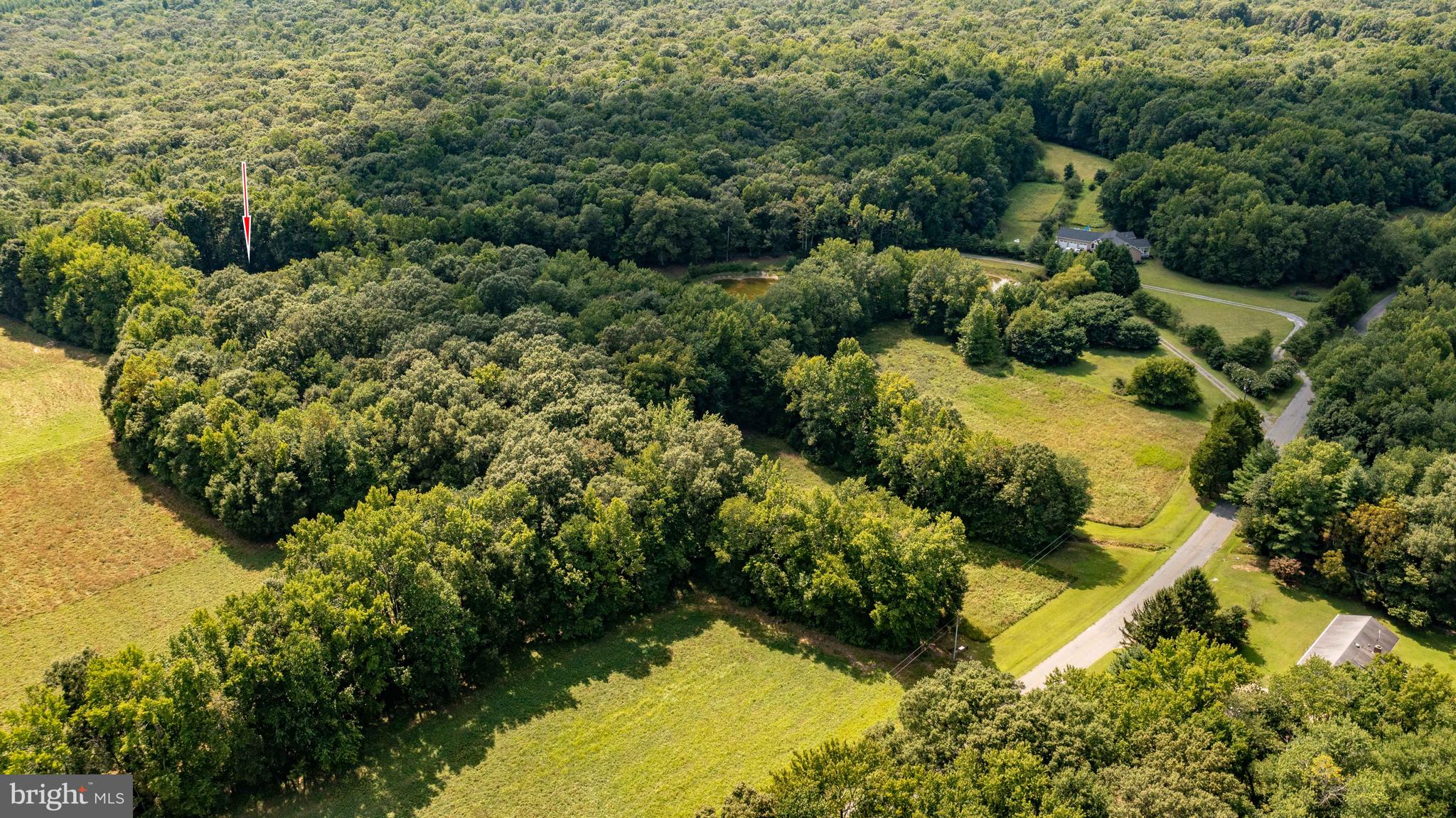 2718 Peters Corner Road Marydel, MD 21649 - Photo 8 of 40