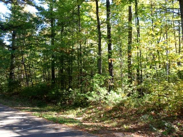 33-34 Point O Pines Road Manitowish Waters, WI 54545 - Photo 1 of 3 Gallery Image 1
