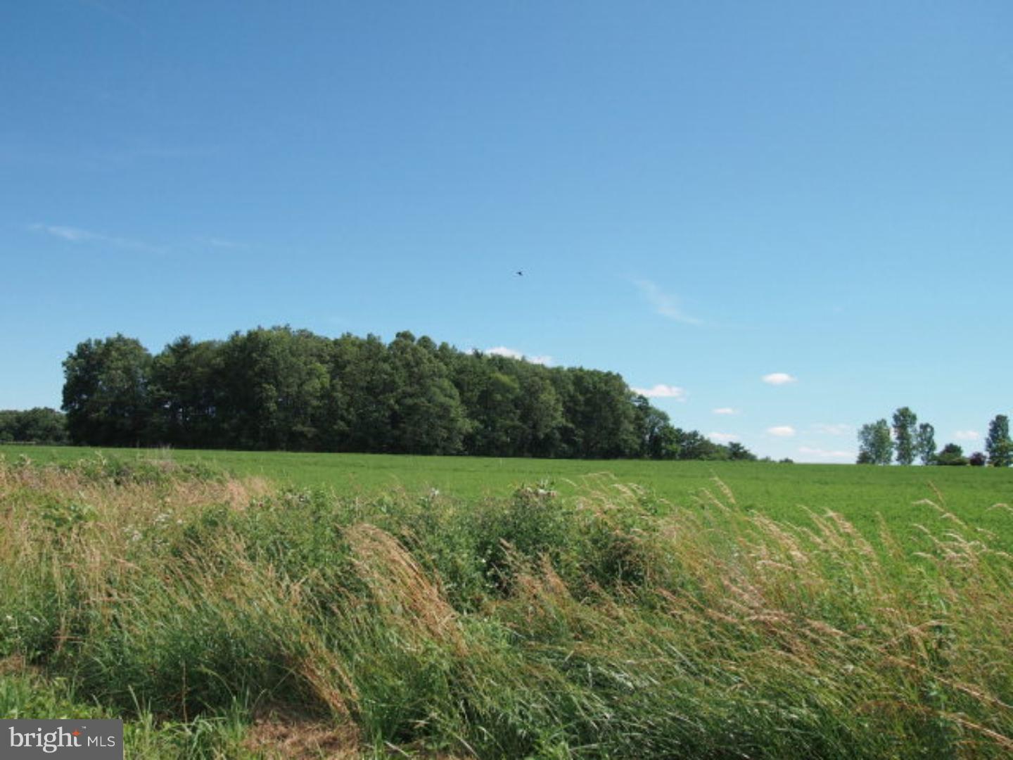 Lot 2 Farm View Road Schuylkill Haven, PA 17972 - Photo 10 of 10 Gallery Image 10