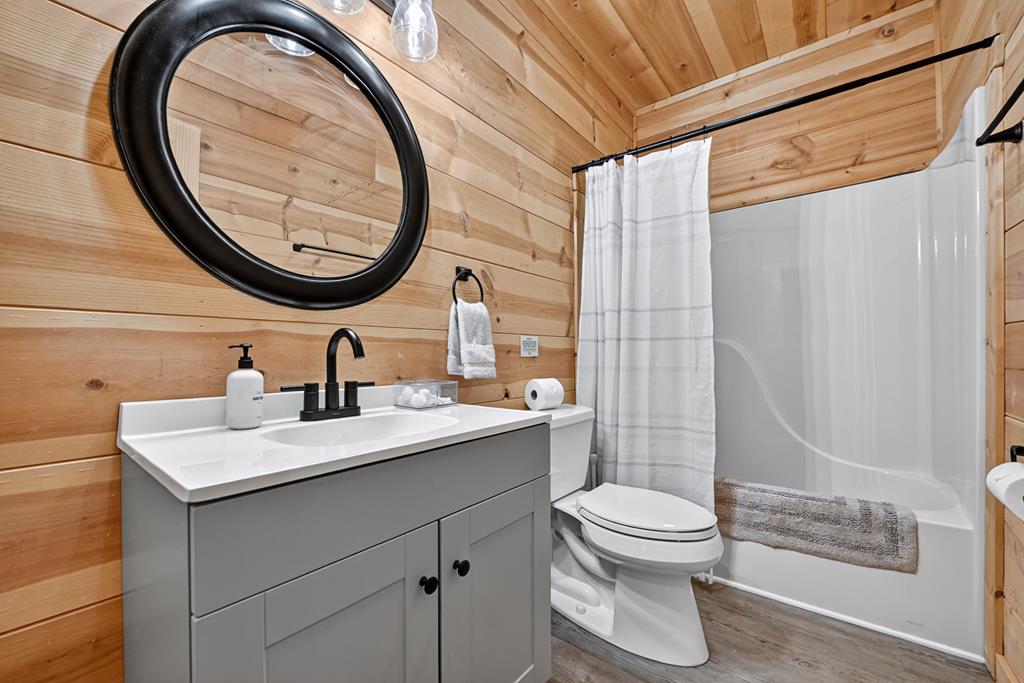 1134 Maggie Chapman Road Blue Ridge, GA 30513 - Photo 58 of 65 a bathroom with a sink a toilet and a mirror