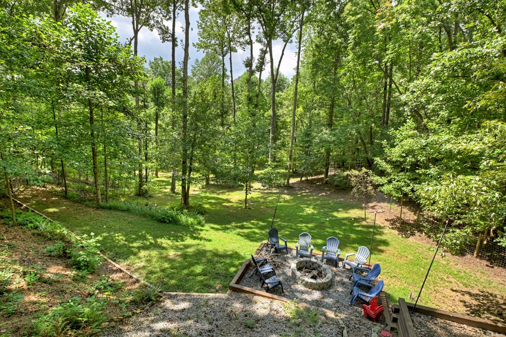 1134 Maggie Chapman Road Blue Ridge, GA 30513 - Photo 61 of 65 a view of a park with large trees