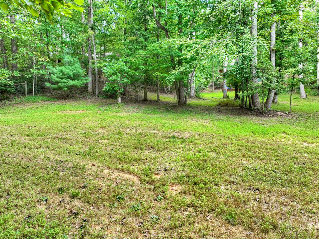 1134 Maggie Chapman Road Blue Ridge, GA 30513 - Photo 63 of 65 a view of a tree in a yard