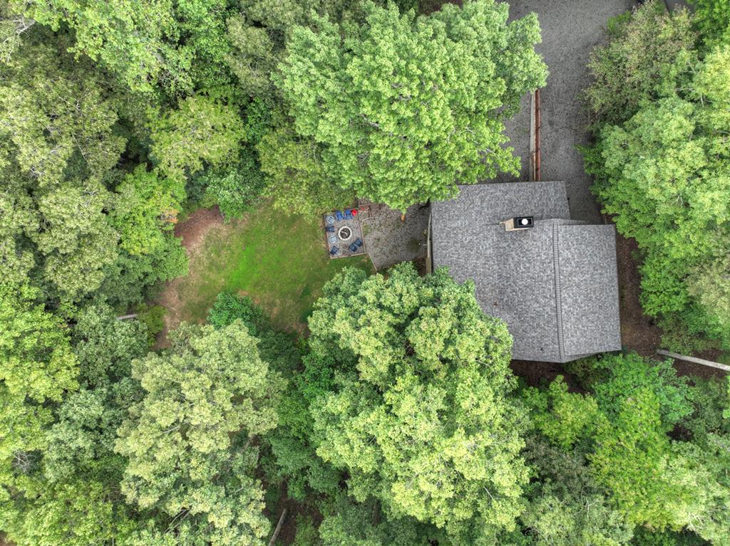 1134 Maggie Chapman Road Blue Ridge, GA 30513 - Photo 64 of 65 an aerial view of a house with a yard and outdoor seating