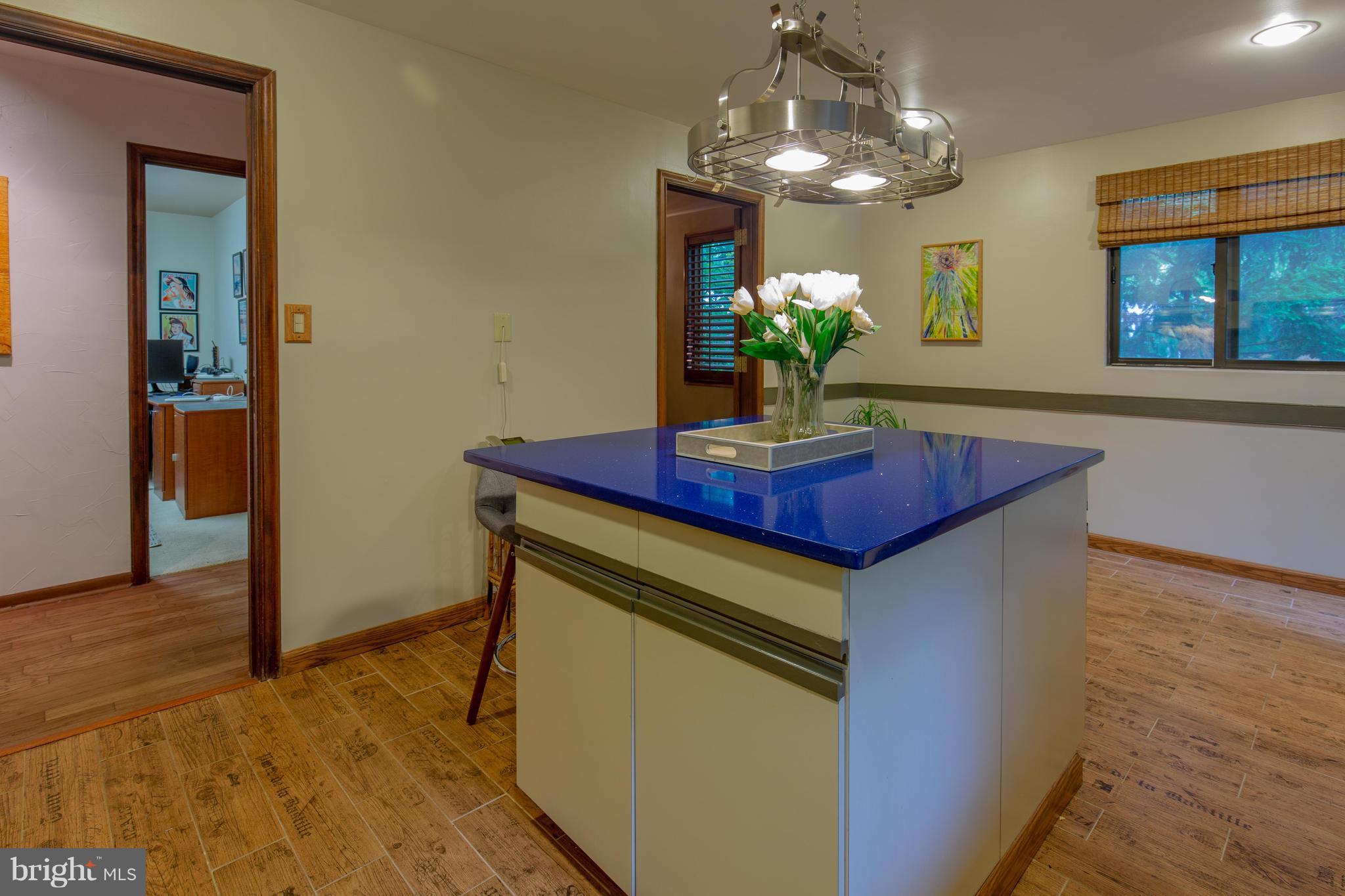 707 Schindler Drive Silver Spring, MD 20903 - Photo 11 of 30 Kitchen