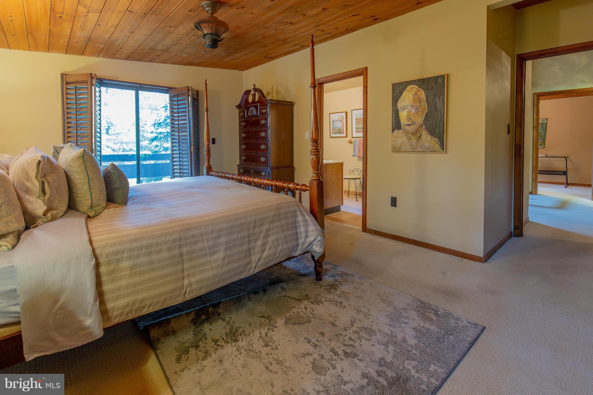 707 Schindler Drive Silver Spring, MD 20903 - Photo 15 of 30 Bedroom (Master)