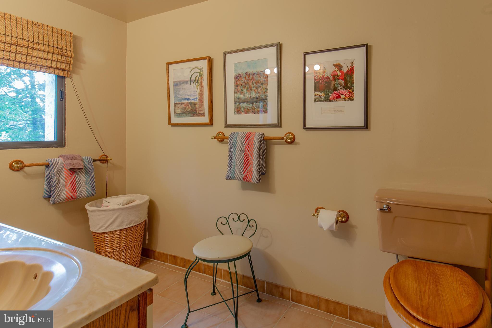 707 Schindler Drive Silver Spring, MD 20903 - Photo 16 of 30 Bath (Master)