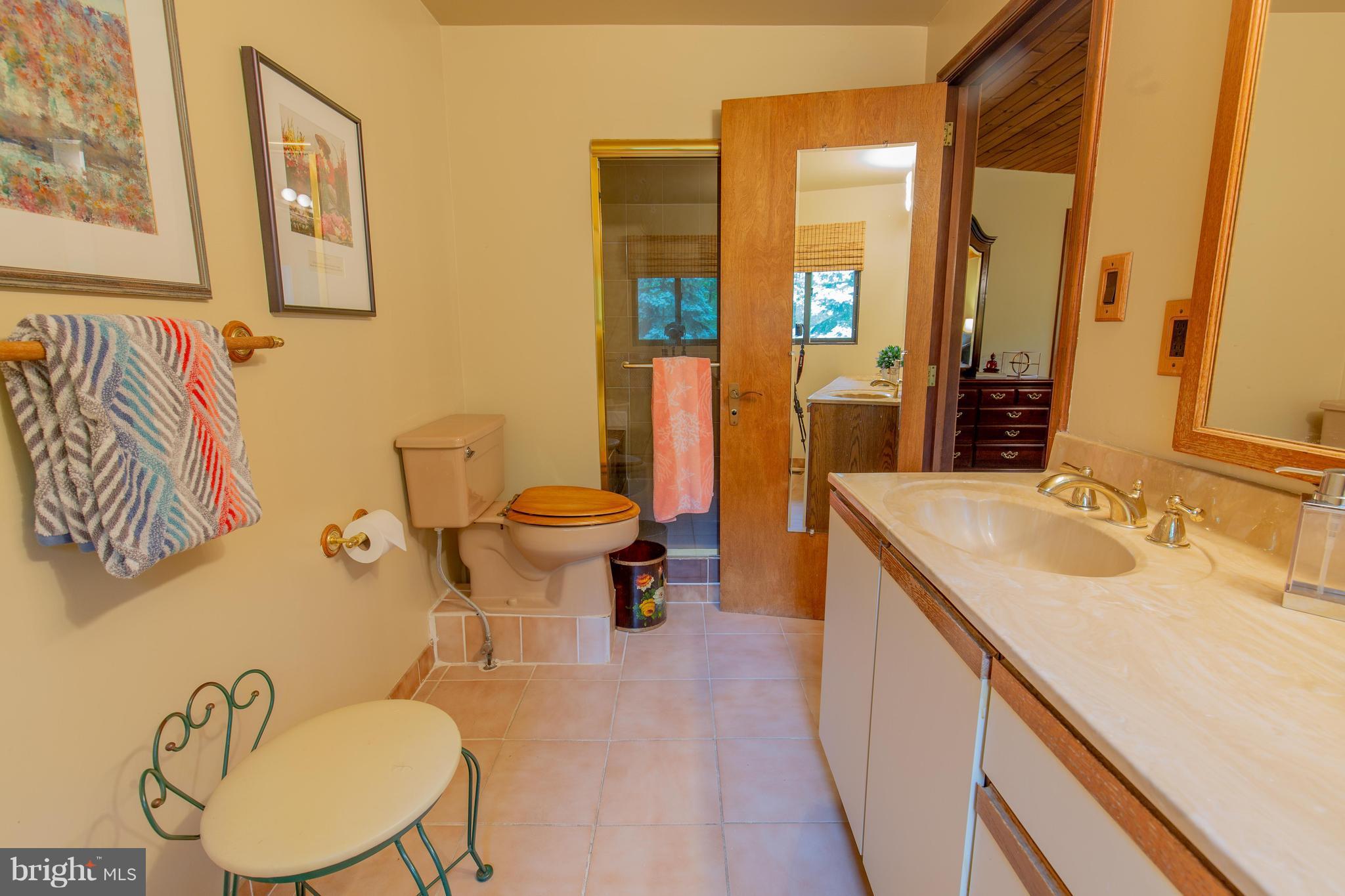 707 Schindler Drive Silver Spring, MD 20903 - Photo 17 of 30 Bath (Master)