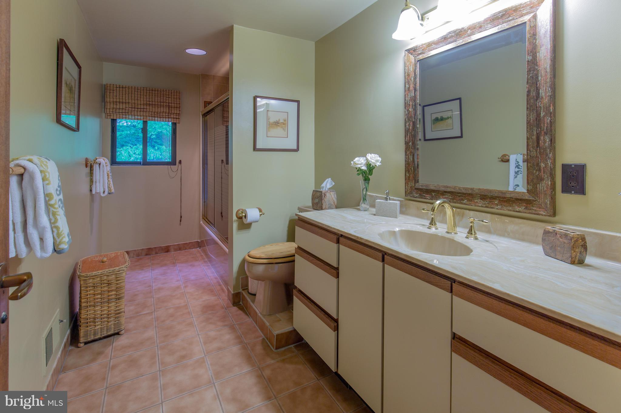 707 Schindler Drive Silver Spring, MD 20903 - Photo 20 of 30 Bath