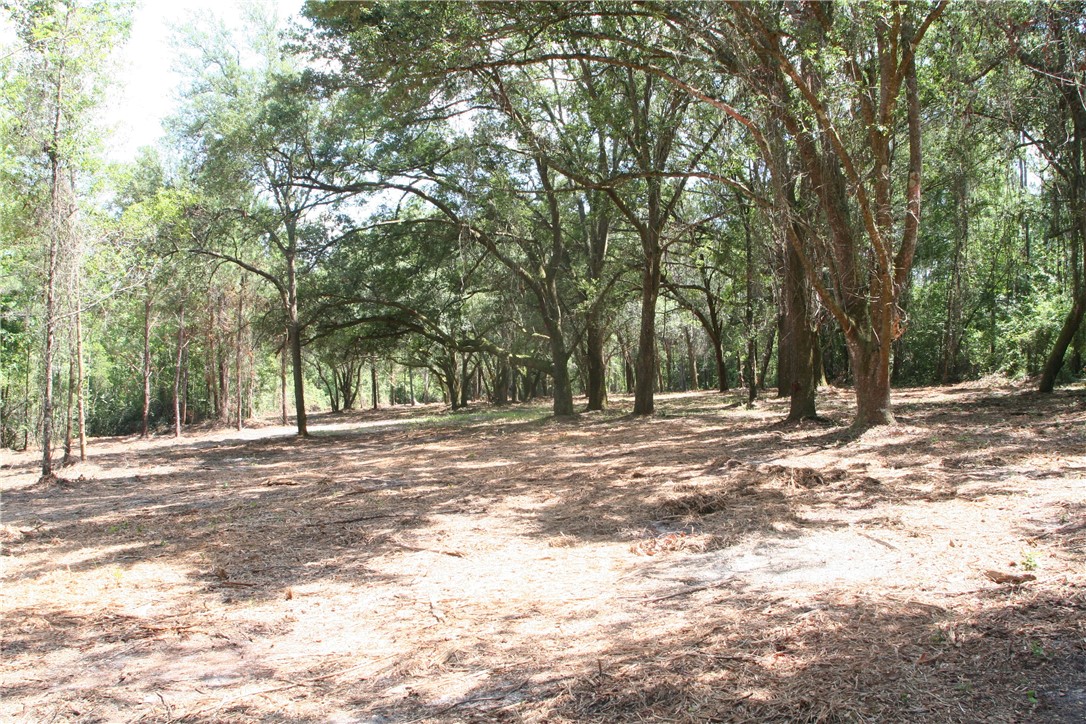 0 Roy Sikes Road Hilliard, FL 32046 - Photo 3 of 13 Gallery Image 3