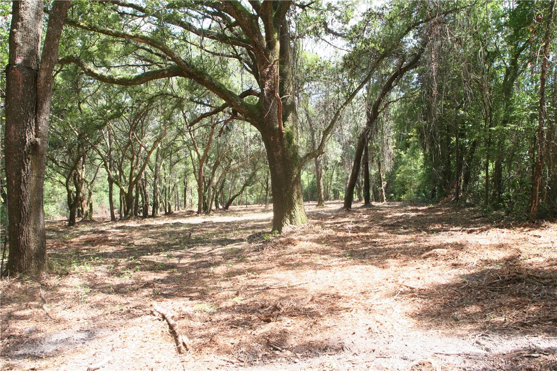 0 Roy Sikes Road Hilliard, FL 32046 - Photo 4 of 13 Gallery Image 4
