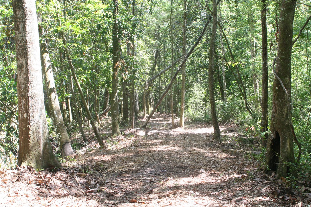 0 Roy Sikes Road Hilliard, FL 32046 - Photo 6 of 13 Gallery Image 6