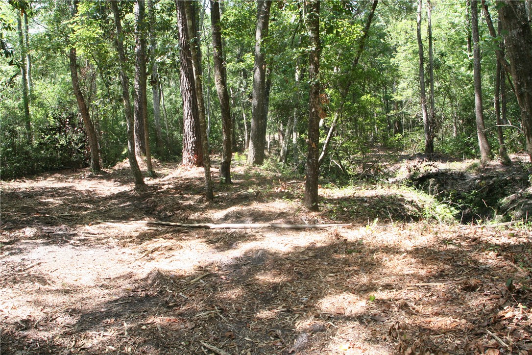 0 Roy Sikes Road Hilliard, FL 32046 - Photo 7 of 13 Gallery Image 7