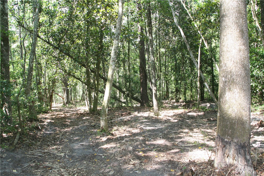 0 Roy Sikes Road Hilliard, FL 32046 - Photo 8 of 13 Gallery Image 8