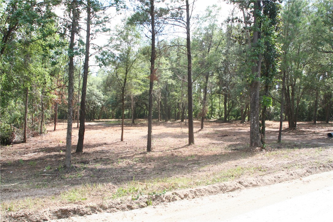 0 Roy Sikes Road Hilliard, FL 32046 - Photo 10 of 13 Gallery Image 10