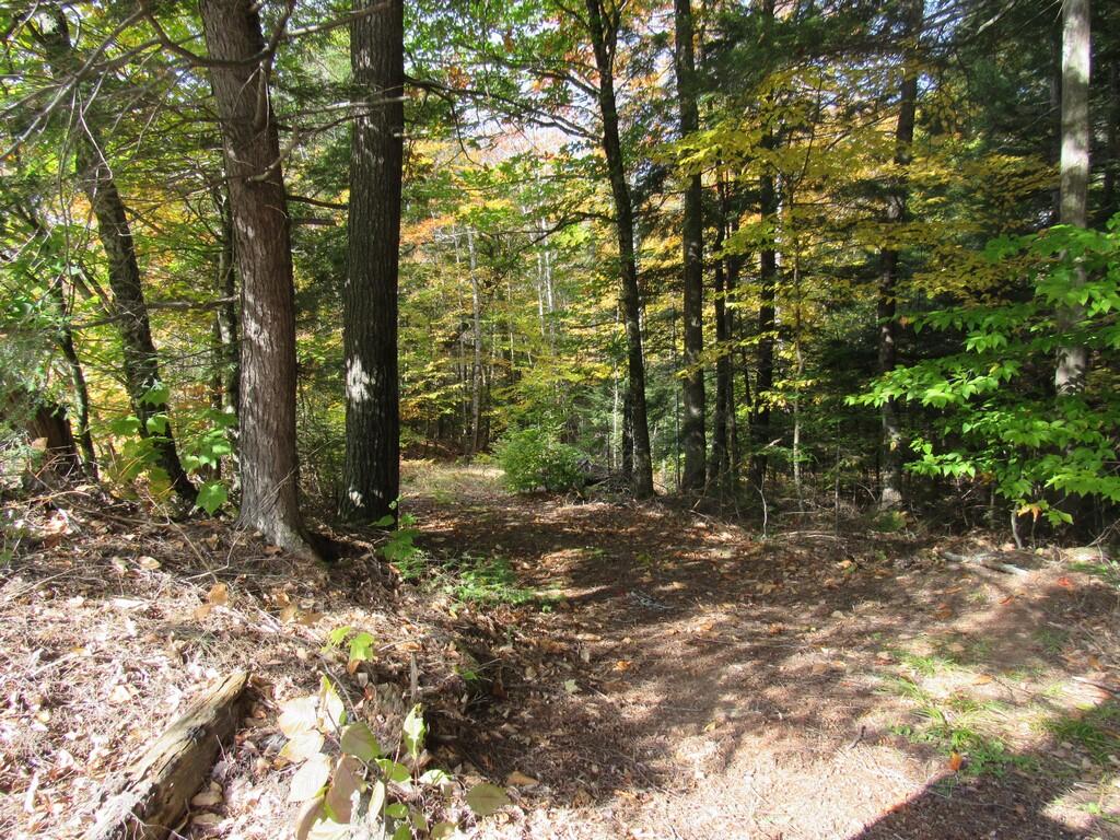585 Lakeview Road Topsfield, ME 04490 - Photo 13 of 20 Imported Photos 00024