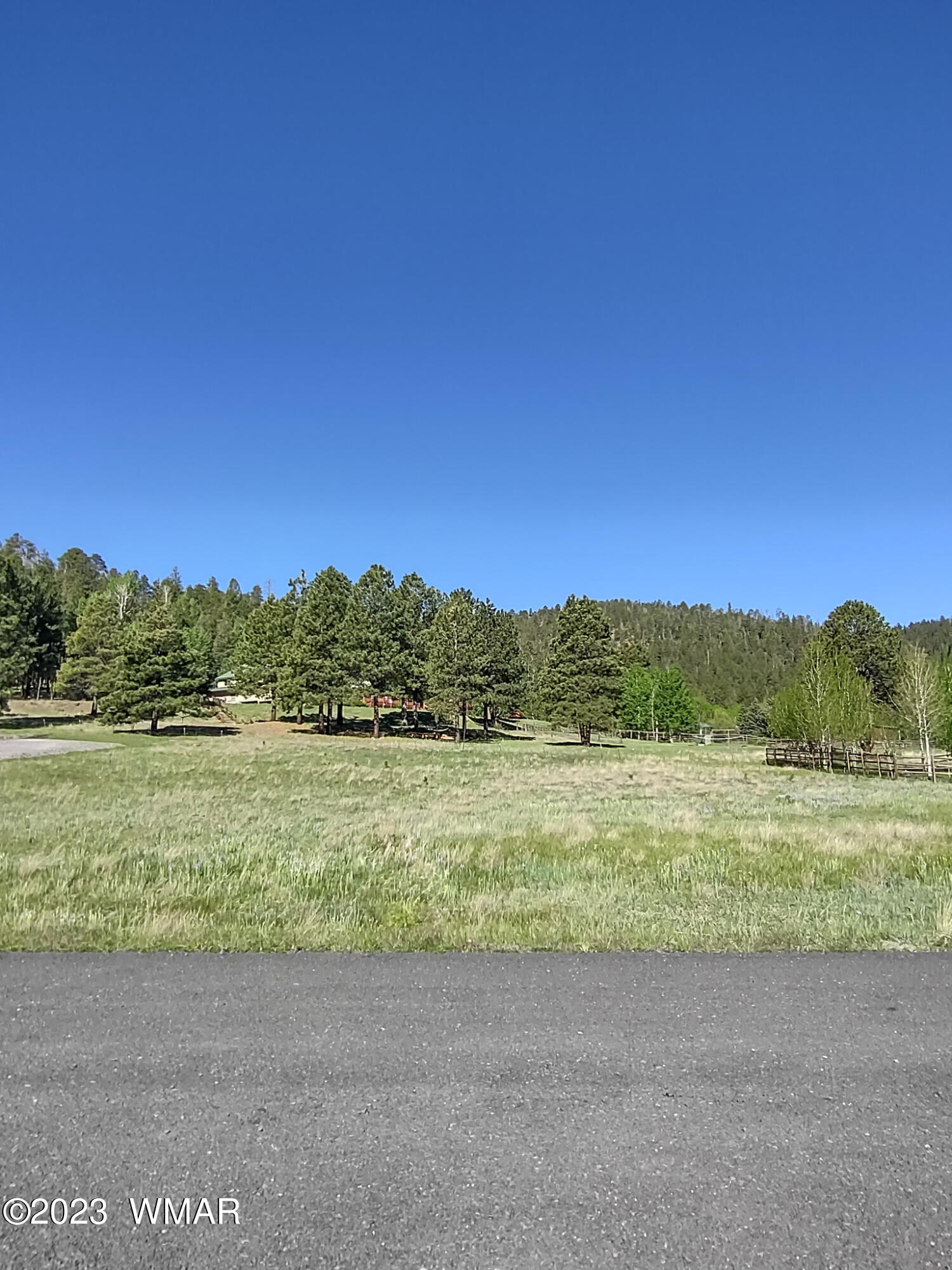 9 Rohrer Road Greer, AZ 85927 - Photo 1 of 4
