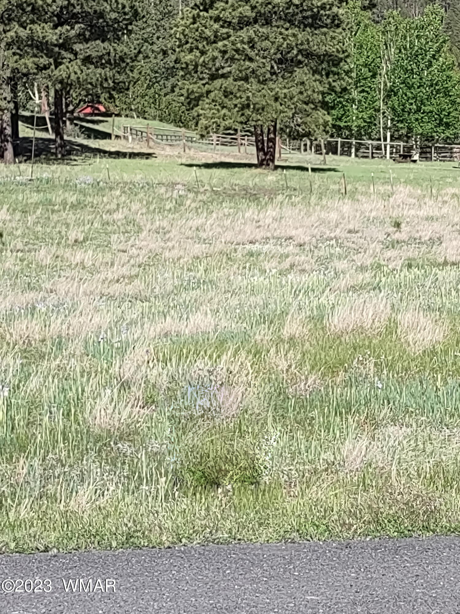 9 Rohrer Road Greer, AZ 85927 - Photo 2 of 4