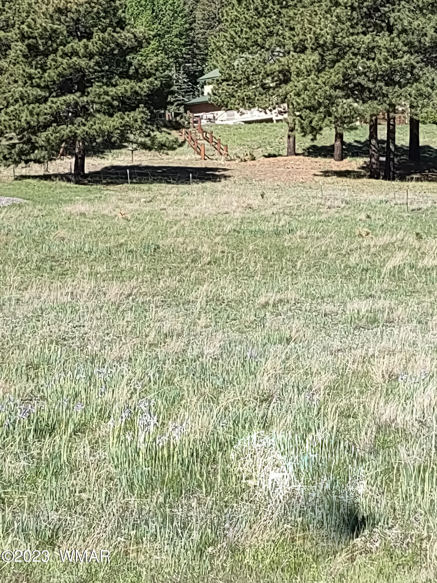 9 Rohrer Road Greer, AZ 85927 - Photo 3 of 4