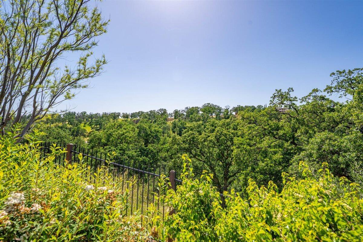 14545 Carriage Lane Red Bluff, CA 96080 - Photo 41 of 67 a view of a garden