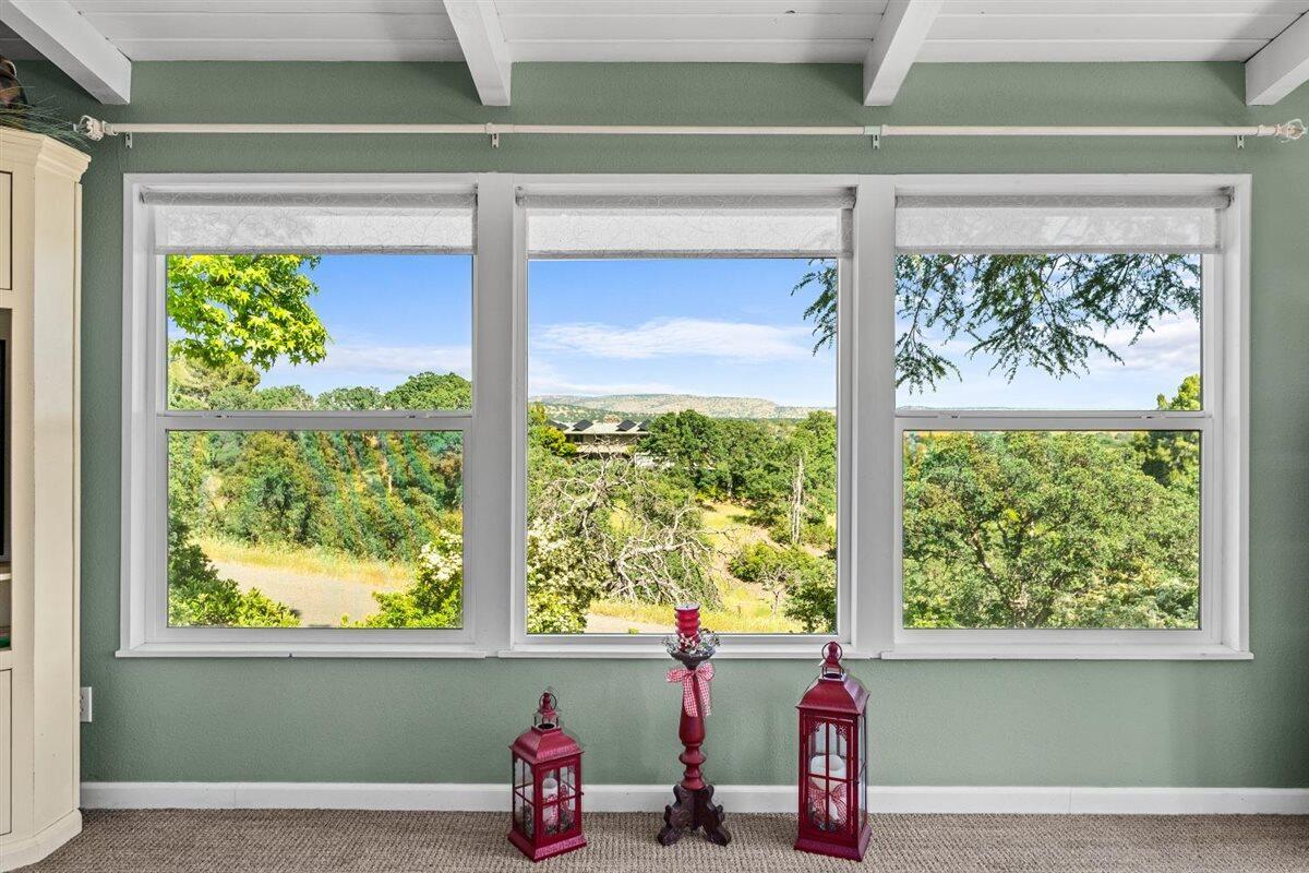 14545 Carriage Lane Red Bluff, CA 96080 - Photo 7 of 67 10-14545 Carriage Ln - I-18