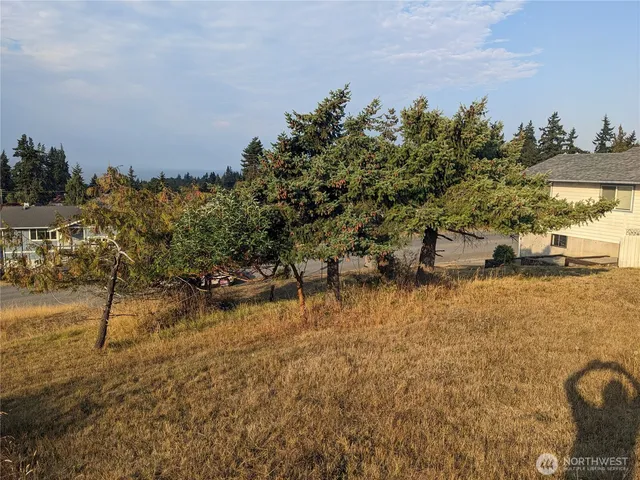 a view of a yard with wooden fence