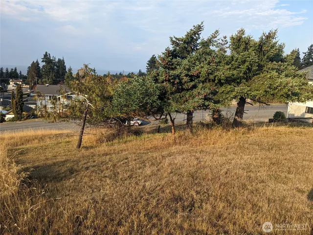 a view of a yard with a tree