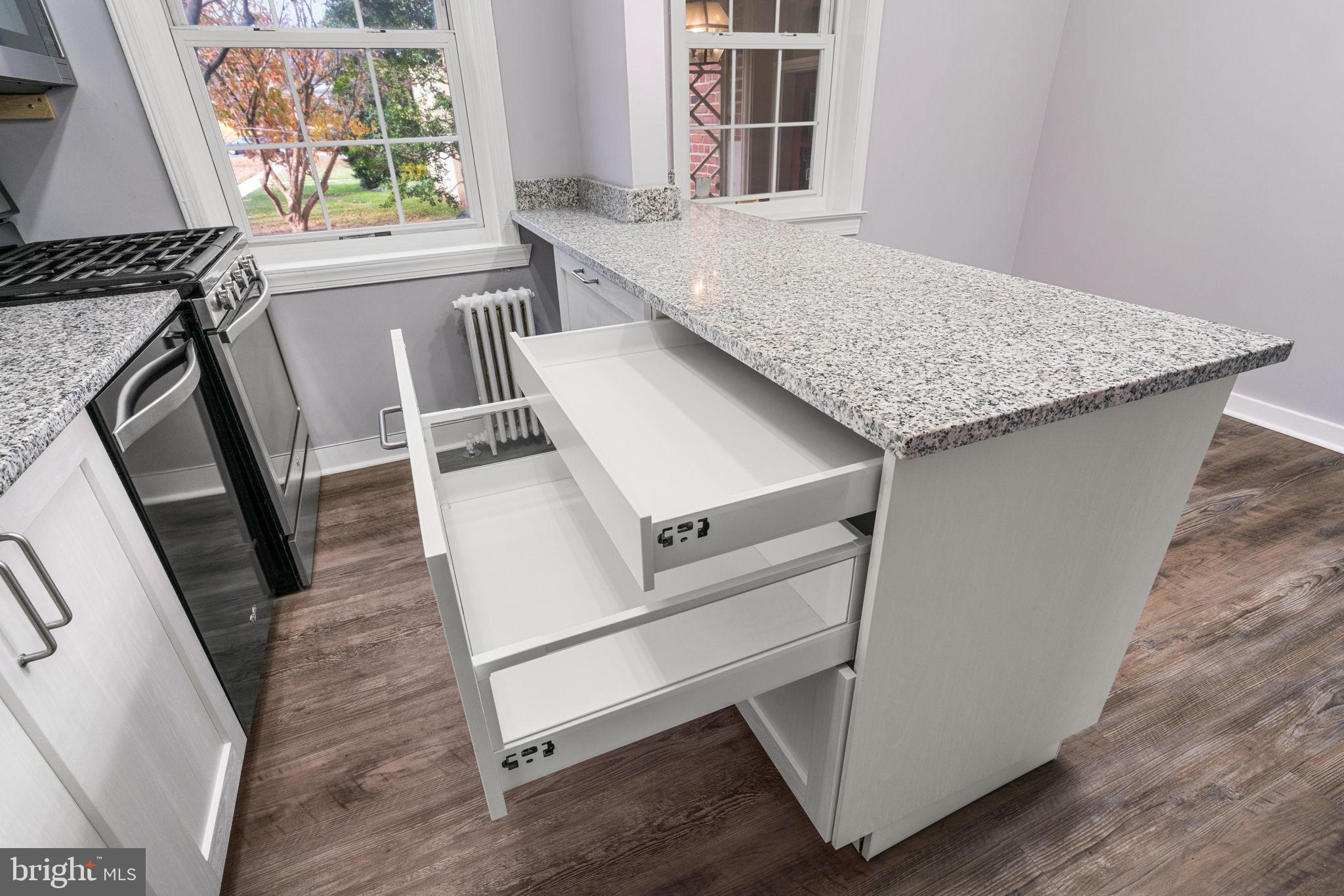 2404 Colston Drive, Unit 103 Silver Spring, MD 20910 - Photo 10 of 20 Pull out drawers for easy access