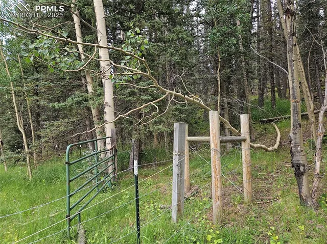 a view of an outdoor space