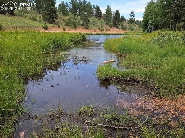 a view of a lake with a yard