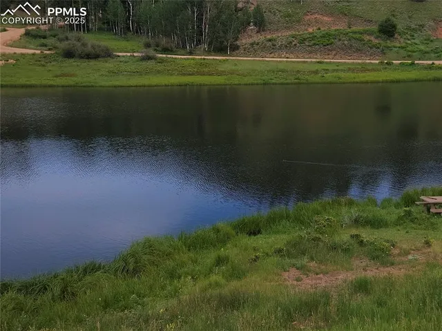 a view of a field with a tree in it