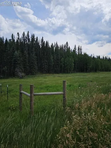 a view of a grassy field