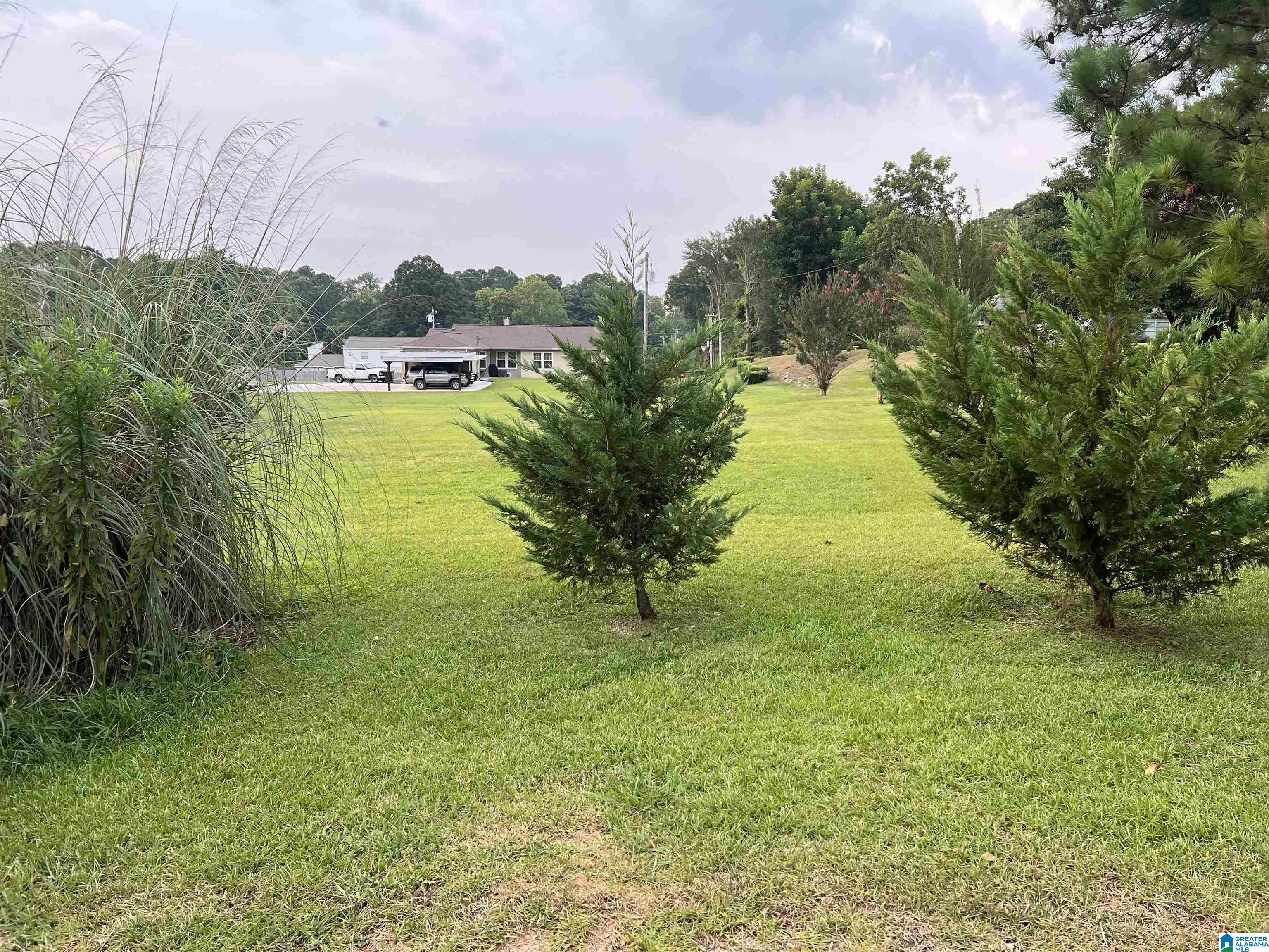 Lindsey Street Sylacauga, AL 35150 - Photo 4 of 5