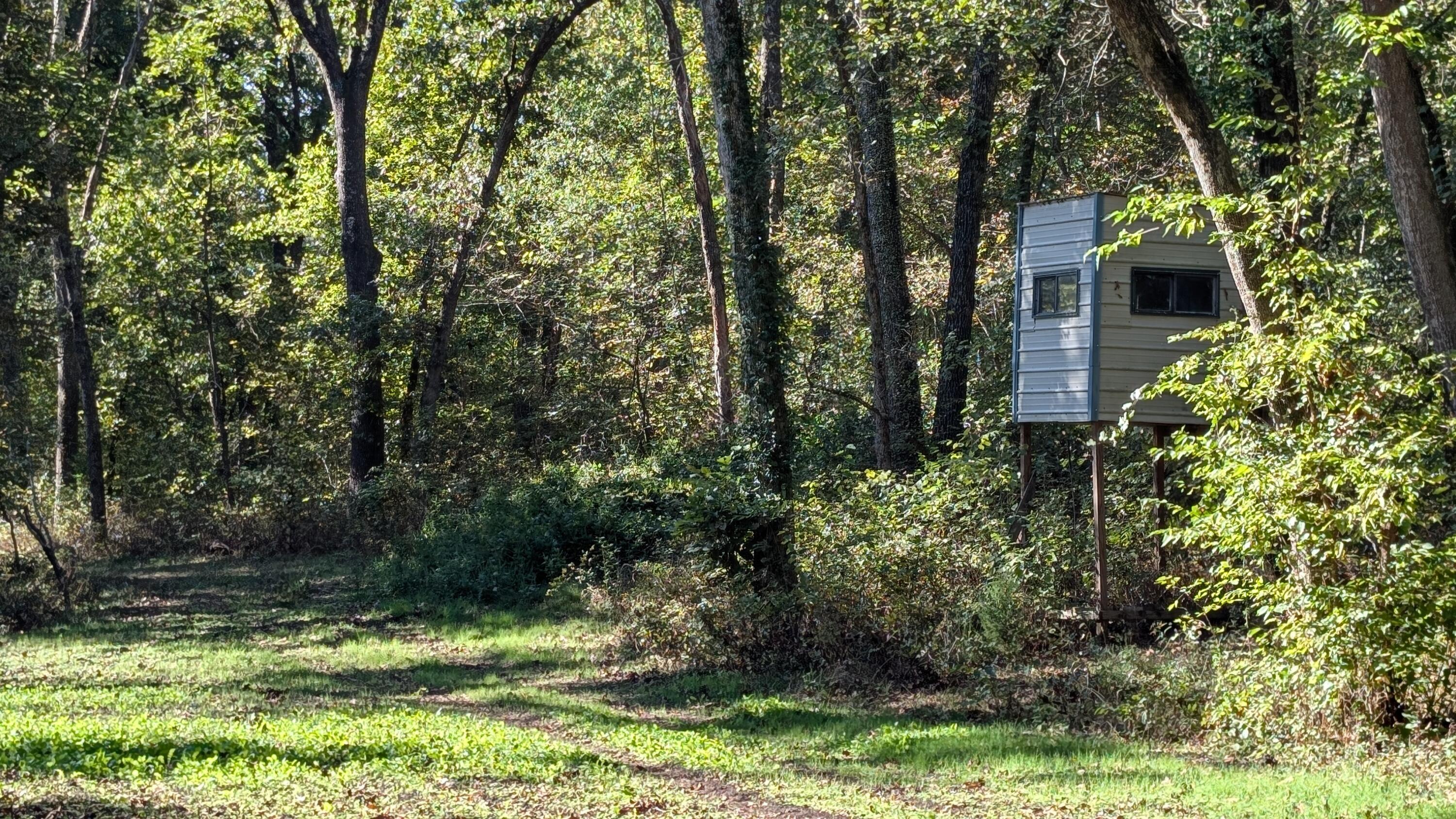 0 Southeast 731 Road Collins, MO 64738 - Photo 9 of 9 1000022411