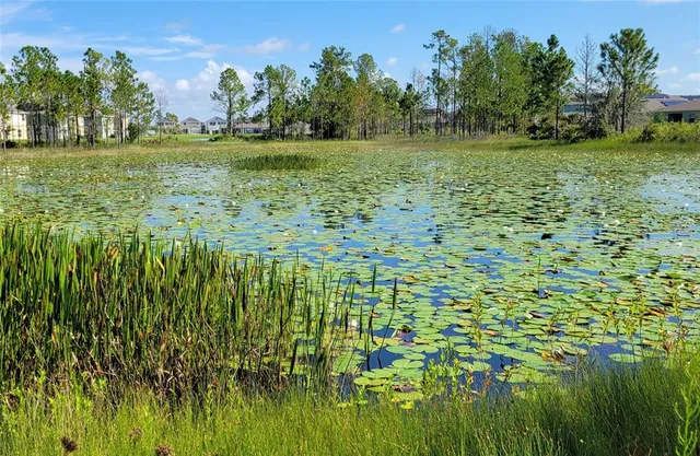 $2,170 | 636 Daring Drive, Davenport, FL 33837