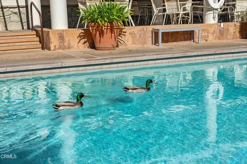 $725,000 | 2559 Plaza Del Amo, Unit 111, Torrance, CA 90503