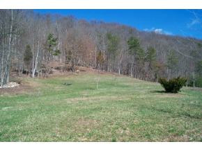 2139 Burem Road, Unit 2 Rogersville, TN 37857 - Photo 3 of 3 Photo 3