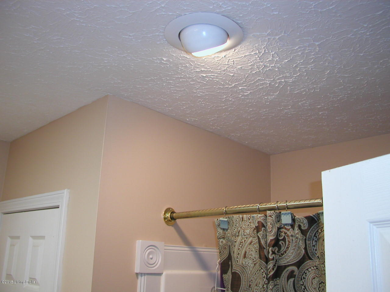 1756 Cedarmore Road Bagdad, KY 40003 - Photo 67 of 78 Shower Light