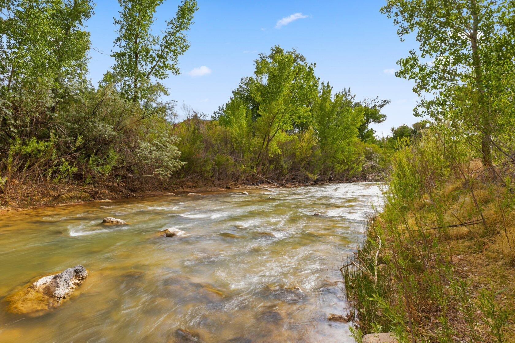 98 South Bridge Road Rockville, UT 84763 - Photo 61 of 80 Backyard - Virgin River