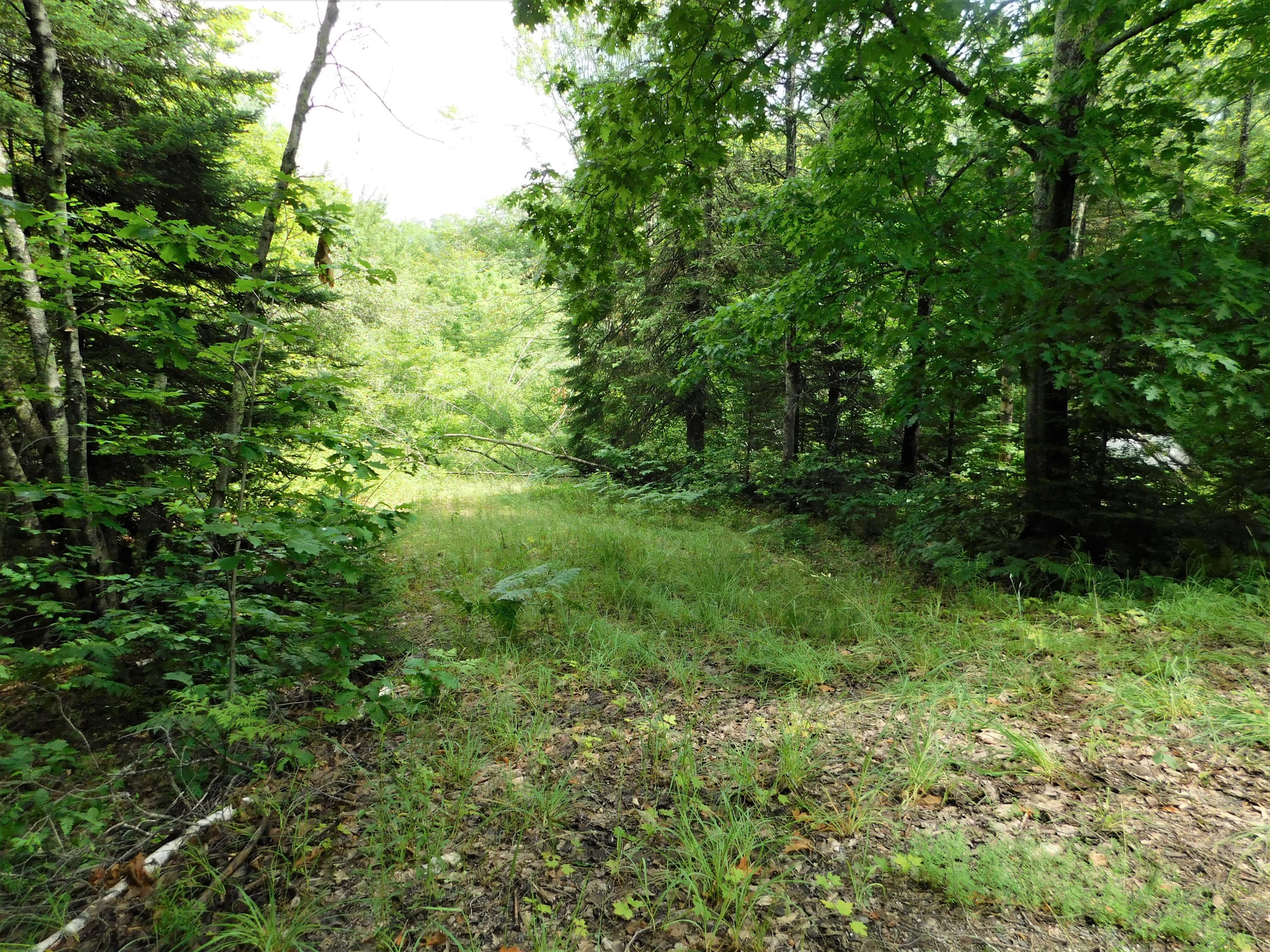 0 Oliver Hill Road Dover-Foxcroft, ME 04426 - Photo 1 of 8 DSCN0421