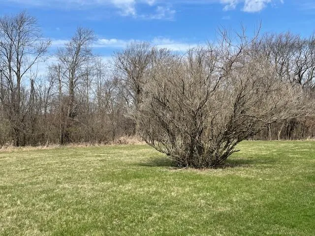 $139,000 | Lt42 Preserve Drive, Lafayette, WI 53121