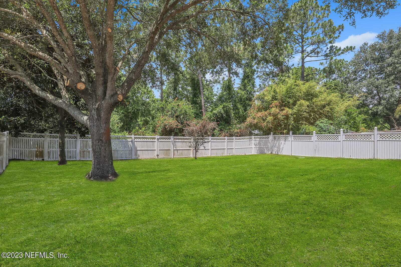 860 Briarcreek Road Jacksonville, FL 32225 - Photo 24 of 24 a view of a yard with a large tree