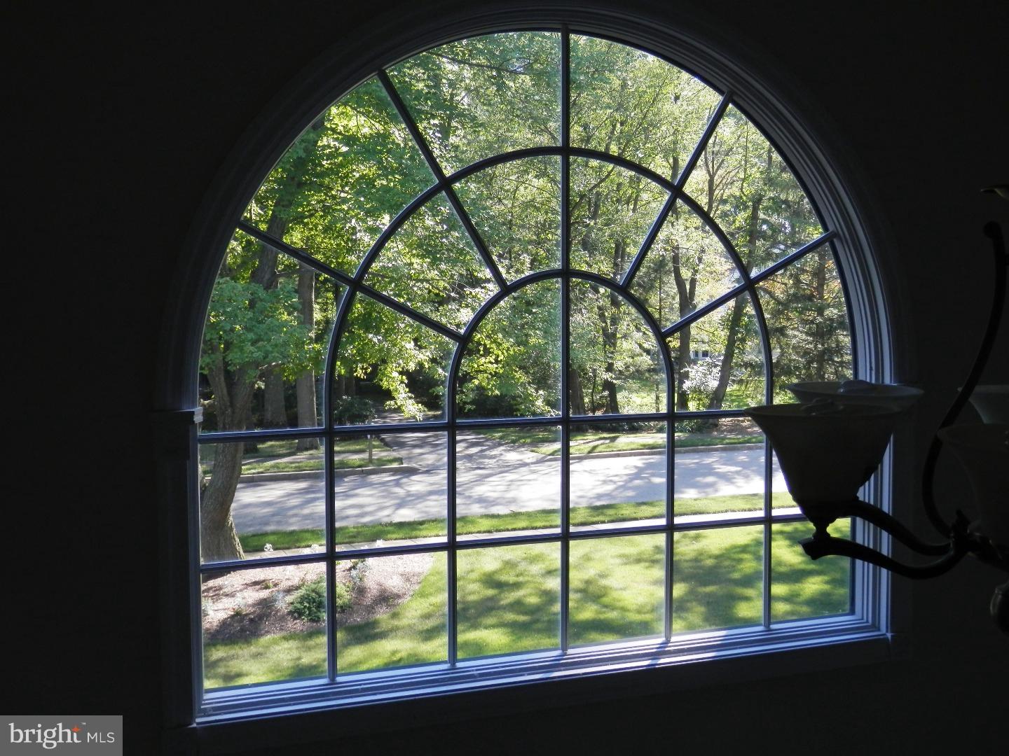 View from Front Door